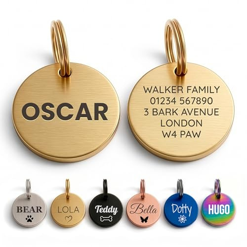 The Stately Hound Dog Tags for Pets Engraved UK, Gold Round, Medium