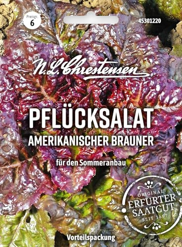 Chrestensen Pflücksalat Amerikanischer Brauner Samen | 30g Sommeranbau, Samenfest, Hitzebeständig, Spätschießend, Mehrfach erntbar,