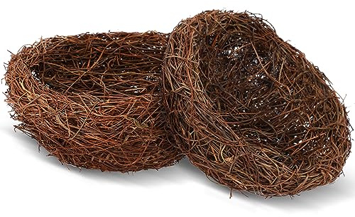 Therwen 2 Pcs Decorative Bird Nest Decor, Natural Twig Bird Nests for Spring Easter Table Centerpiece, Rustic Home Decor, Floral Arrangement, DIY Craft and Terrarium Display (7.9 Inch)