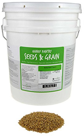 Handy Pantry Organic Barley Grass - 30 Lbs - Whole (Hull Intact) Barleygrass Seed - Ornamental Barley Grass, Juicing - Grain for Beer Making, Emergency Food Storage & More Product Name