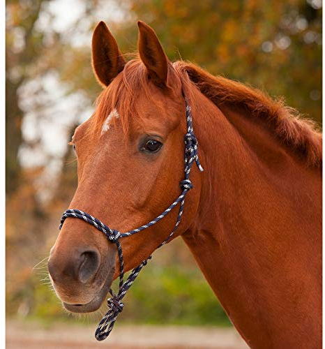 WALDHAUSEN Knotenhalfter, WB, blau