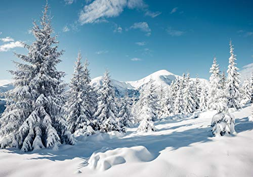 wandmotiv24 Fototapete Berge mit Schnee, XL 350 x 245 cm - 7 Teile, Wanddeko, Wandbild, Wandtapete, Winter, Wald, Hügel M5740