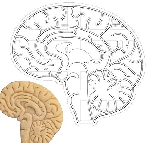 SHRIGM Formine per Biscotti a Forma di Cuore | Formine per Biscotti Creative uniche Forme Anatomiche di Cuore e Cervello | Divertenti Gadget da Cucina, formine per Dolci con organi anatomici