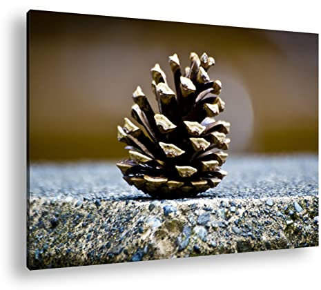 deyoli Leinwandbild Kleine Tannenzapfen schmücken den Waldboden Format: 70x50cm XXL Kunstdruck Bild auf Holzrahmen/Wandbild/Wohnzimmer Dekoration