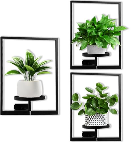 DETENE 3 Pcs Indoor Wall Plant Stand with Parts Metal Plant Rack Window Plant Shelves Hanging Planters Display Shelving for Hanging Plants for Home Indoor and Outdoor