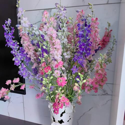Semi di Delphinium - semi di come per gli ospiti Larkspur - resistenti per il giardino Le da giardino sono perenni 150pcs