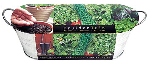 Mini-Küchengarten. Aromatische Kräuter: Zink-Blumenkasten (10 cm hoch, 30 cm lang) mit Saatmischung, Pflanzenerde und Pflegeanleitung
