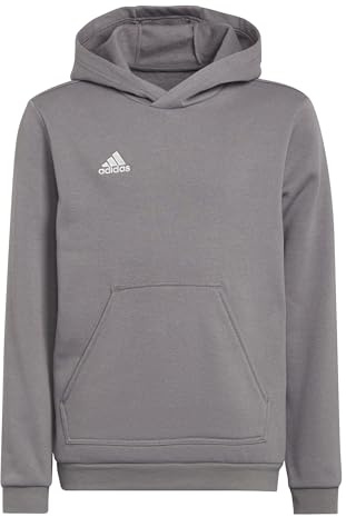 Adidas Unisex Kinder Entrada 22 Sweat Hoodie