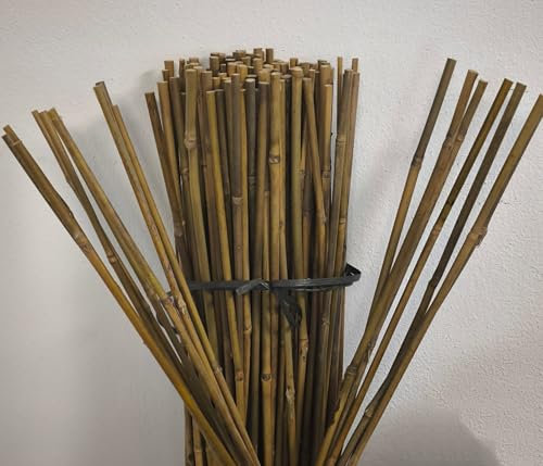 Suinga Lot de 100 Tuteur en Bambou 150 cm, 10-12 mm, Tubes en Bambou pour Plantes et Arbres, Baguettes de Bambou, Canne de Bambou, Tiges de Bambou, Supports pour Arbres