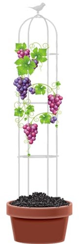 Tuteur de Jardin Colonne Rosiers Support pour Plantes Grimpantes Treillis d'Obélisque 21x120cm 25x190cm 31x160cm 35x150cm pour Légumes Fruits Vignes Fleurs (Color : White, Size : 21x120cm(8.3x47in)