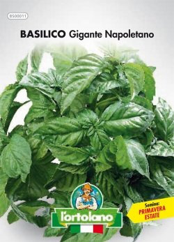 Sementi orticole di qualità l'ortolano in busta termosaldata (160 varietà) (BASILICO GIGANTE NAPOLETANO)