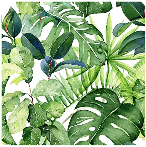 HAOKHOME Tropical Wallpaper Self Adhesive Jungle Wallpaper for Bathroom | Plam Leaves Removable Peel and Stick Wall Paper Green White Stick on Contact Paper 10mx 44.5cm