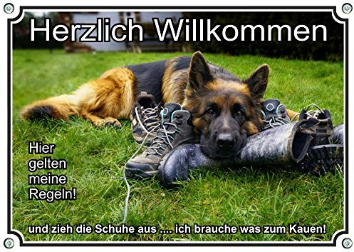 Petsigns Hundeschild Deutscher Schäferhund - hochwertiges Warnschild Willkommen lustig, DIN A4
