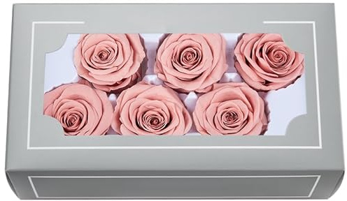 A Grade 5–6 cm konservierter Rosenkopf, hochwertige, natürliche, ewige echte Rosen, unsterbliche Rose, hält 3 bis 5 Jahre, für Mütter, Valentinstag, Geburtstag, Hochzeit, Zuhause, Party-Dekoration