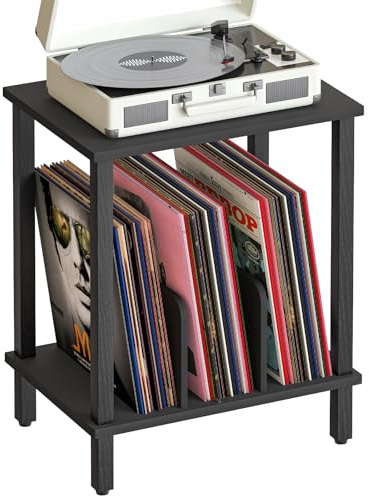HOOBRO Soporte para Tocadiscos de 2 Niveles, Mesa para Tocadiscos de Vinilo de Estilo Industrial, con Separadores, para 100 Discos y CD, Mesa Auxiliar para Salón, Negro EBK05RS01