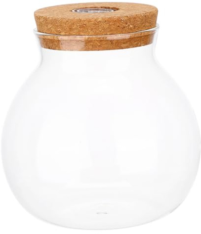 SHINEOFI Terrarium Verre Rond avec Bouchon Liège et Lumière Vase Hydroponique Compact pour Propagation et Décoration Bureau Maison Pot de Verre Transparent pour Plantes