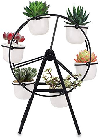 Sumnacon Pflanzenständer in Riesenradform für Sukkulenten, inklusive Keramik-Pflanztöpfe, tolles Display, Mini-Blumenständer mit Töpfen (Pflanzen sind nicht im Lieferumfang enthalten), schwarz