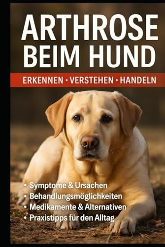 Arthrose beim Hund: Verstehen, erkennen und begleiten: Der große Ratgeber für Schmerzfreiheit, Bewegung und Lebensfreude