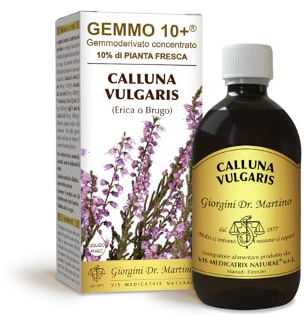 Dr Giorgini Integratore Alimentare, Erica Gemmoderivato Concentrato Liquido Analcoolico - 500 ml