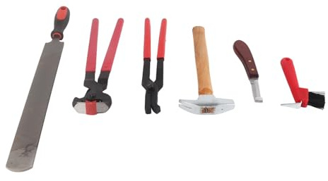 Set da 6 pezzi Strumento professionale per tagliare gli zoccoli del maniscalco per cavalli Strumento per tagliare le unghie a ferro di cavallo