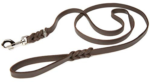 CopcoPet - Fettlederleine 1 m x 10 mm, Braun, Hunde-Leine aus Leder mit verchromtem Karabiner, geflochtene Hunde-Führleine Leder