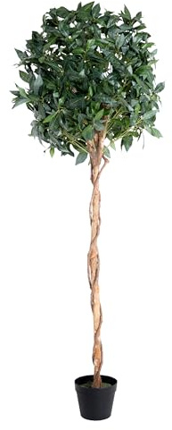 Blooming Artificial - Artificial Bay Tree in Pot for Garden, Home, and Office, Year Round Decorative Foliage, UV and Water Resistant (Green) (150cm)