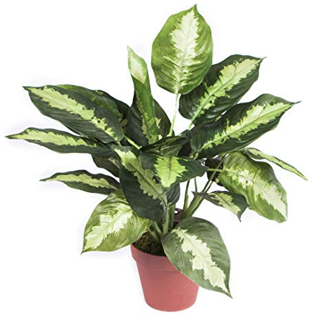Planta artificial galatea 49 cm altura, Catral 74010017