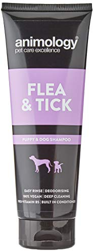Animology Flea & Tick Dog Shampoo, Twin Pack, 250ml