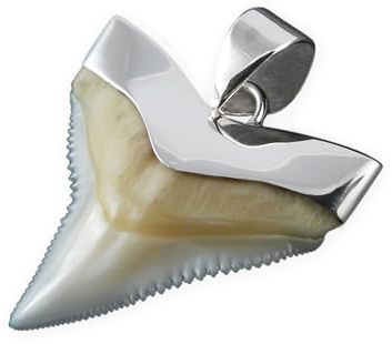 Fly Style Echt Hai Zahn Ketten Anhänger mit 925 Silber Fassung - Haifischzahn Kette