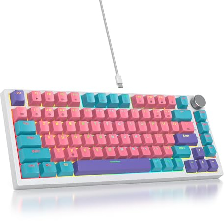 SOLIDEE Verkabelte Mechanische Gaming Tastatur 75%,hot-swap-fähige mechanische Tastatur Gasket Struktur,RGB Hintergrundbeleuchtung,QWERTY 82 Tasten TKL Gaming Tastatur mit Drehknopf(82 Pink)