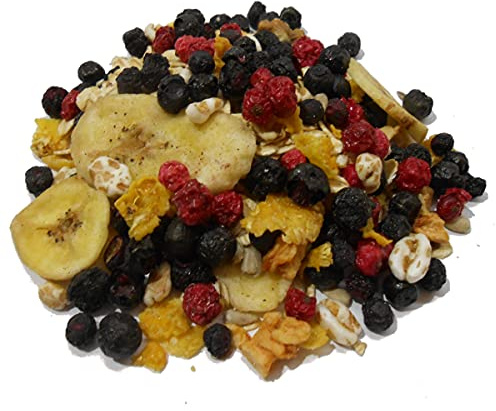 BIO BLAUBEER MÜSLI I 7% gefriergetrocknete Blaubeeren I Wildheidelbeeren I ohne Zuckerzusatz (enthält von Natur aus Zucker) I Vegan I Walnüsse I 1000g