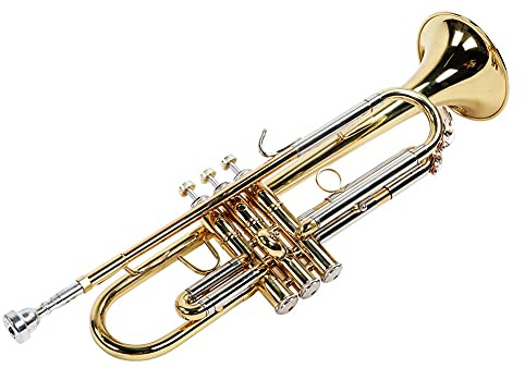 Dilwe Messingtrompete, Musiktrompete aus Messing mit Hellem Ton, Korrekter Tonhöhe und Zubehörset, Professionelle Trompete für Anfänger, Zum Üben von Schulbandauftritten