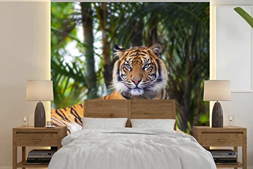 MuchoWow Papier peint Tigre - Animaux - Forêt - Jungle Papier peint photo 350x350 cm Papier peint imprimé