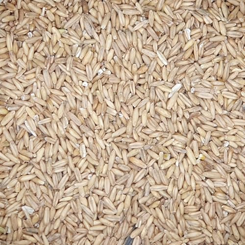 Haferkerne - Gladen 2,5kg