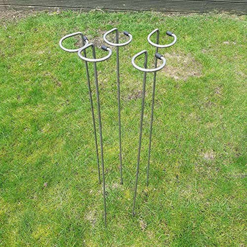 Metal Plant Supports Loop Stakes 5 pack 80cm, 100cm or 130cm tall (80cm)