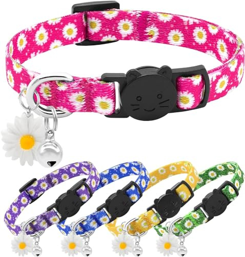 DQGHQME Katzenhalsband verstellbar mit Glöckchen - weich, bequem & personalisierbar für Hauskatzen