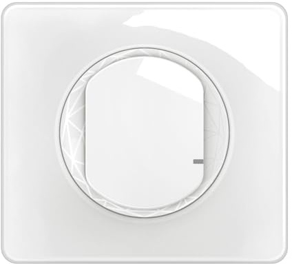 Legrand | Interruptor conectado con opción regulador, Céliane With Netatmo, compatible con asistentes de voz, variación luminosa activable a través de la aplicación, instalación fácil sin neutros