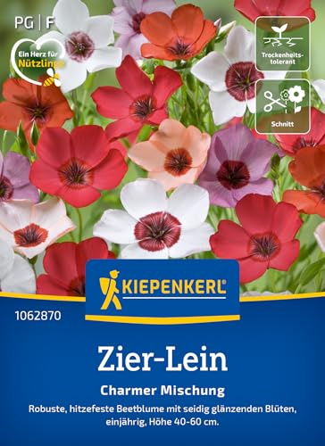 Kiepenkerl Zier-Leinsamen Charmer Mischung 1062870, Blumensaat | Produktform und Verwendung laut Beschreibung