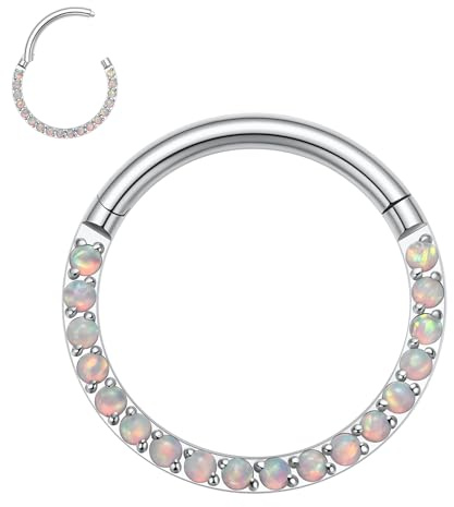 hengkaixuan 16G Nasenringe Septum Clicker 316L Chirurgisches Stahlsegment Helix Knorpel Conch Hoop Ohrringe Hoop Conch Hoop Daith Piercing Schmuck