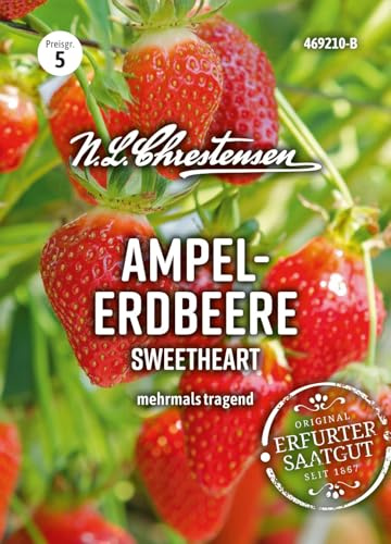 Chrestensen Saatgut Ampelerdbeere Sweetheart Samen - Hänge-Erdbeere Saatgut - Mehrfachtragend - Für Garten Balkon Ampel - Fragaria ananassa - Samenfest