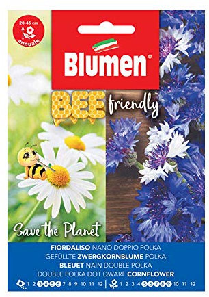 SEMI FIORDALISO NANO DOPPIO IN MIX POLKA BLUMEN
