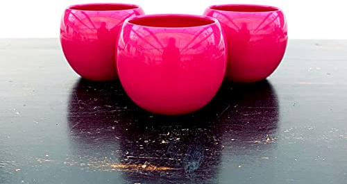 POWERS TO FLOWERS - SET 3 VASI SFERICI FUCSIA, VASI IN CERAMICA + PIANTA IN OMAGGIO (FUCSIA)