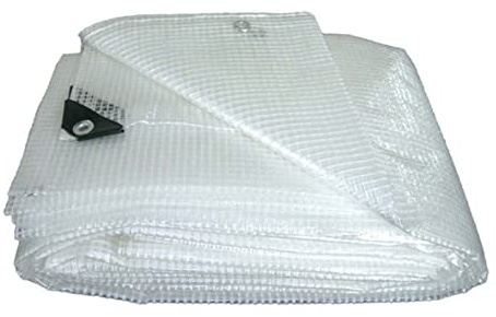 Kippen 6062E1 - Telone Retinato Trasparente con Grammatura da 160 g/m². Taglia 4x10 (40 m²)