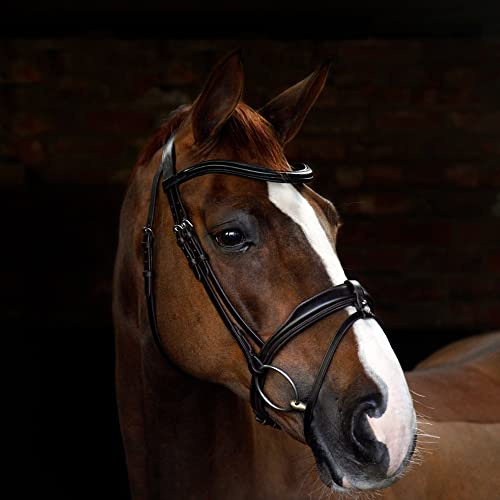 Harry Hall Cottage Craft Flash Bridle Brown | Anatomical Horse Bridles | Flash Noseband For Extra Full | Leather Tack