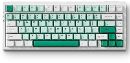 MCHOSE G75 PRO 75% Wireless Mechanical Keyboard, TKL Keyboards Tri-Mode BT5.0/2.4GHz/USB-C, Hot Swap Custom Creamy Keyboards Linear Switch, Double Shot PBT Keycaps RGB LED Backlit, White&Green
