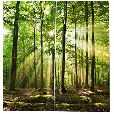 Cafopgrill Wälder Eyelet Vorhang, Sonnenlicht Printing Shading Vorhänge Balkon Vorhänge Schlafzimmer Salon Fenster(170 (Breite) * 200 cm (Höhe))