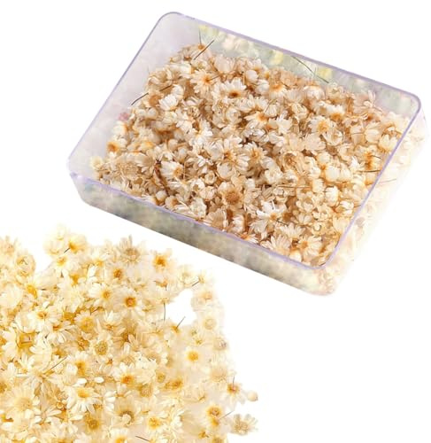 200 Pièces Fleurs Séchées Couleur d'origine Fleurs Sechees Naturelles Fleurs Sechees Fleurs Séchées Decoration pour Scrapbooking Bougie Bricolage Résine Époxy Floral Fabrication Artisanale