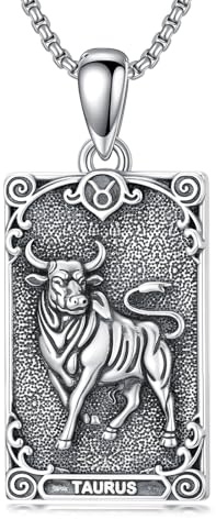 enjoylifecreative Stier Sternzeichen Halskette 925er Sterling Silber Taurus Horoskop Tarotkarte Anhänger Kette Sternbilder Astrologie Geburtstag Schmuck Geschenke für Damen Herren