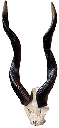 Design Toscano NG32187 Africain de KUDU Trophée mural Multicolore 9 x 20,5 x 44,5 cm