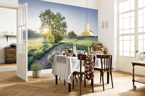 Komar Papel pintado fotográfico – Meadow Trail – Tamaño 368 x 254 cm – Papel pintado fotográfico, diseño de sol, mañana, paisaje, comedor, sala de estar, dormitorio